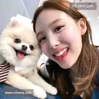 吴卓焘